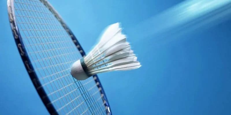 Cược cầu lông tại SanVip kịch tính