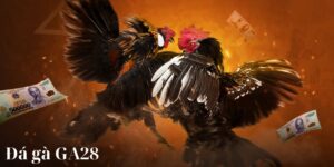 Đá Gà GA28 tại Nhà cái San vip kết hợp giữa truyền thống và công nghệ hiện đại